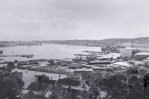 Bilde av Utsikt fra Korpås i 1950.